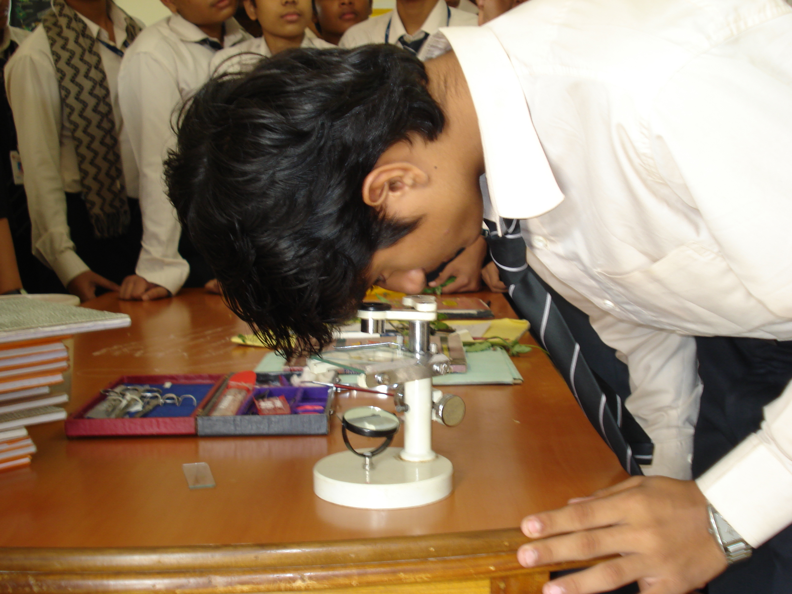 Biology Lab - Botany