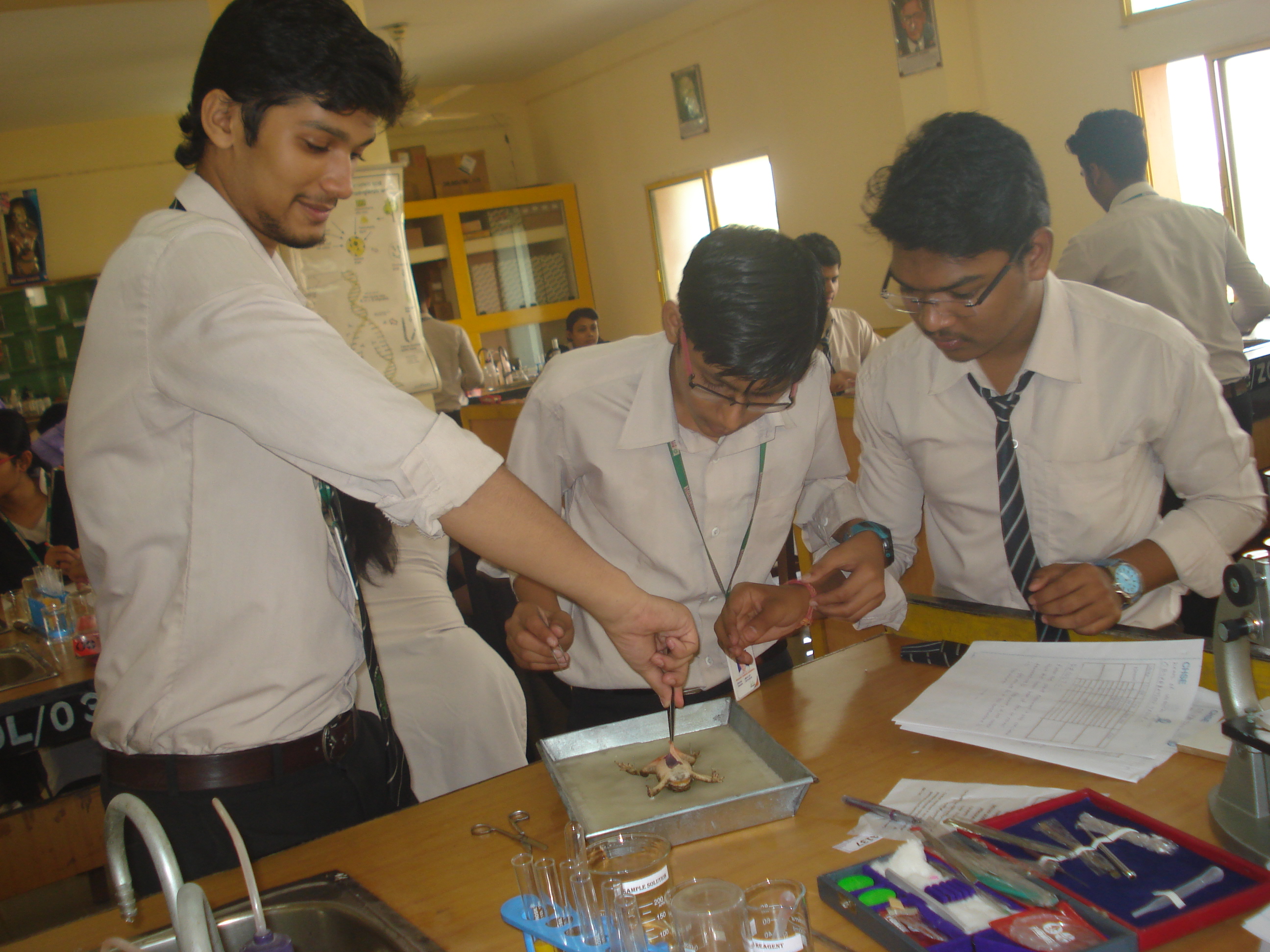 Biology Lab - Zoology